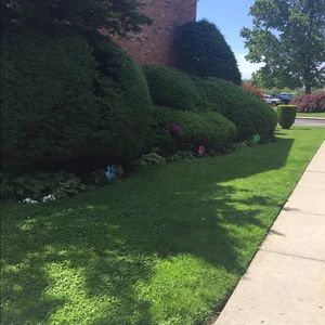 Meet your Posher, Meghan